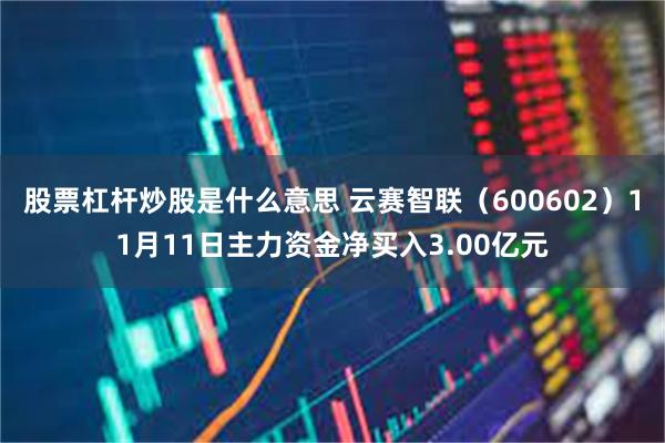 股票杠杆炒股是什么意思 云赛智联（600602）11月11日主力资金净买入3.00亿元
