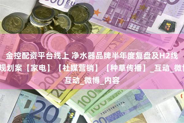 金控配资平台线上 净水器品牌半年度复盘及H2线上营销规划案【家电】【社媒营销】【种草传播】_互动_微博_内容