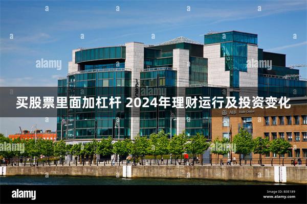 买股票里面加杠杆 2024年理财运行及投资变化