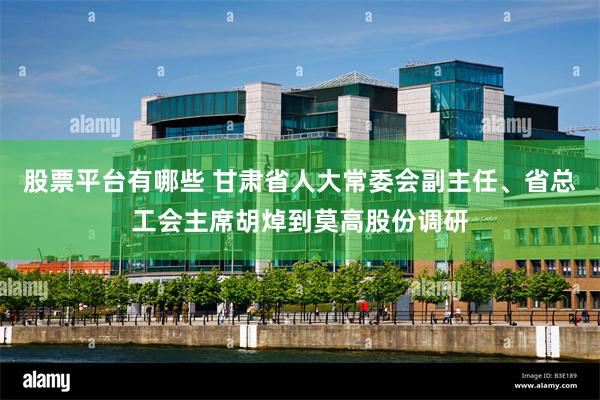 股票平台有哪些 甘肃省人大常委会副主任、省总工会主席胡焯到莫高股份调研