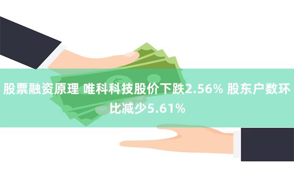 股票融资原理 唯科科技股价下跌2.56% 股东户数环比减少5.61%